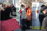 Zillingdorfer Faschingsumzug, 21.02.2012