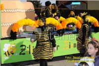 Zillingdorfer Faschingsumzug, 21.02.2012