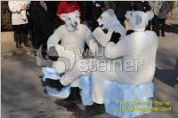 Zillingdorfer Faschingsumzug, 21.02.2012