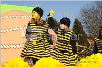 Zillingdorfer Faschingsumzug, 21.02.2012