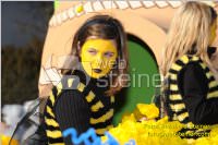 Zillingdorfer Faschingsumzug, 21.02.2012