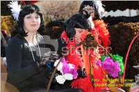 Zillingdorfer Faschingsumzug, 21.02.2012