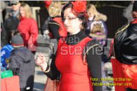 Zillingdorfer Faschingsumzug, 21.02.2012
