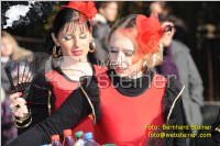 Zillingdorfer Faschingsumzug, 21.02.2012