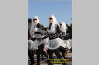 Zillingdorfer Faschingsumzug, 21.02.2012