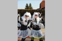 Zillingdorfer Faschingsumzug, 21.02.2012