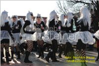 Zillingdorfer Faschingsumzug, 21.02.2012