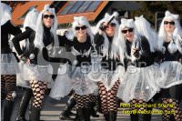 Zillingdorfer Faschingsumzug, 21.02.2012