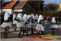 Zillingdorfer Faschingsumzug, 21.02.2012