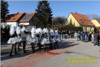 Zillingdorfer Faschingsumzug, 21.02.2012