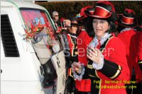 Zillingdorfer Faschingsumzug, 21.02.2012