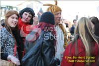 Zillingdorfer Faschingsumzug, 21.02.2012